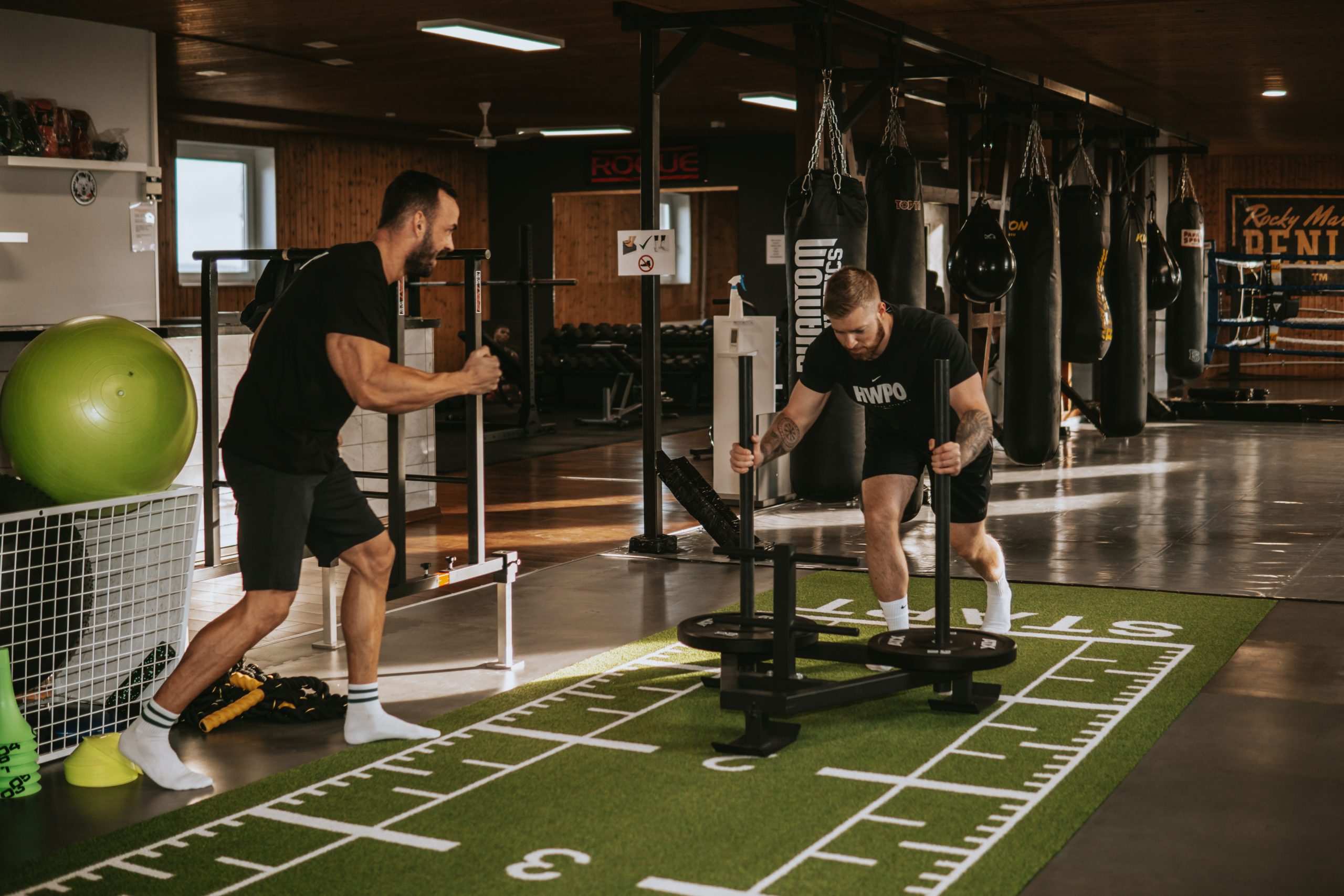 Trainer motiviert